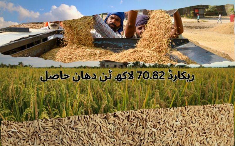 دھان کی خریداری میں تلنگانہ نے قائم کیانیا ریکارڈ 