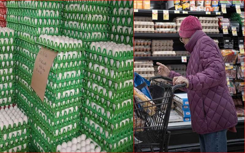  انڈے کھانے سے ’کینسر‘ ہونے کا ڈر؟ جانیے ایف ایس ایس اے آئی نےکیا کہا؟