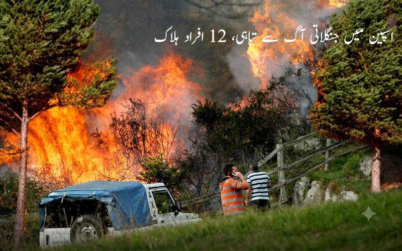 اسپین میں جنگلاتی آگ سے تباہی، 12 افراد ہلاک، ہزاروں افراد محفوظ مقامات پر منتقل