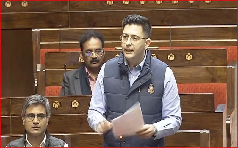 عآپ نے راگھو چڈھا کو راجیہ سبھا کے ڈپٹی لیڈر کے عہدے سے کیوں ہٹایا؟