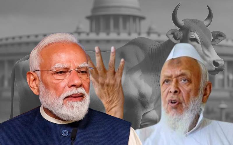 گائے کو قومی جانور قرار دیا جائے، مسلم رہنماؤں کی اپیل  پر مودی حکومت خاموش کیوں؟