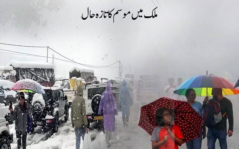 دہلی سے بہار تک:سرد لہر آندھی اور بارش کا الرٹ، پہاڑوں پر برف باری