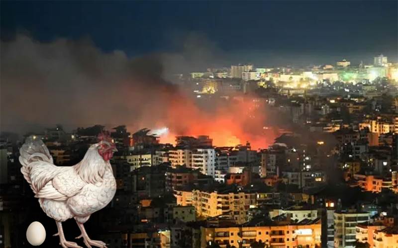 مغربی ایشیا میں تنازعہ :کرناٹک کی پولٹری انڈسٹری کو شدید خطرہ 