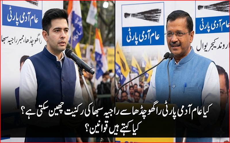 کیا عام آدمی پارٹی راگھو چڈھا سے راجیہ سبھا کی رکنیت چھین سکتی ہے؟ کیا کہتے ہیں قوانین ؟