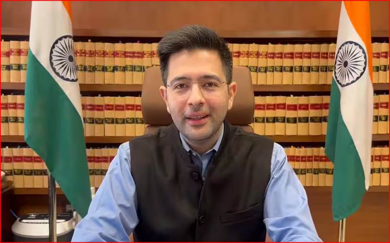 خاموش کروایا گیا ہوں، ہارا نہیں ہوں:راجیہ سبھا ایم پی راگو چڈھا نے جاری کیا ویڈیو پیغام 