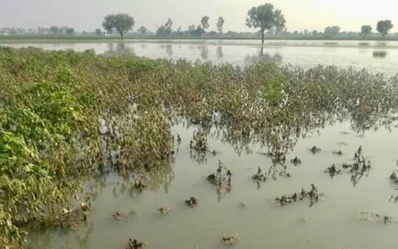 مظفر نگر میں بے موسمی بارش سے سڑک دھنس گئی، عوامی تحفظ اور تعمیراتی معیار پر سوالات