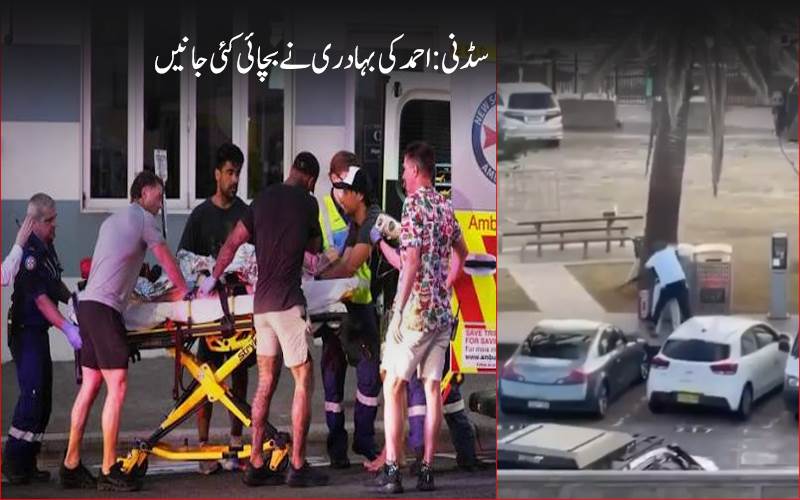 سڈنی فائرنگ :اپنی جان کی پرواہ کیے بغیر احمد نے بچائی کئی لوگوں کی جان