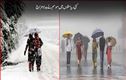 ملک کی8 ریاستوں میں بھاری بارش کا الرٹ، کئی جگہوں پر برفباری کی وارننگ