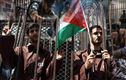 اسرائیلی جیلوں میں فلسطینی قیدیوں کے ساتھ جنسی زیادتی، اقوام متحدہ کی رپورٹ  میں دعویٰ 