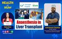 جگر کی آخری اسٹیج بیماریوں کا مؤثر علاج: اینستھیزیا کا کلیدی کردار