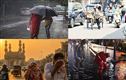 تلنگانہ میں شدید گرمی اور بارش کا دوہرا خطرہ، 5 اضلاع میں ہیٹ ویو اور 9 اضلاع میں بھاری بارش کا الرٹ 